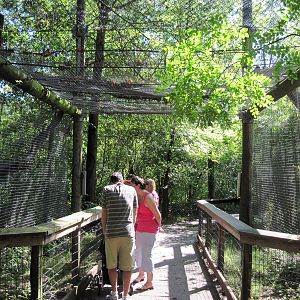 Africa-Leopard Exhibit