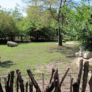 Africa-Giant Tortoise Exhibit