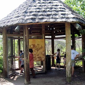 Africa- Aviary Entrance
