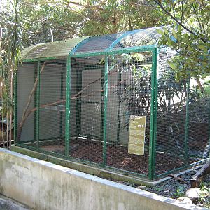 aviary for Senegal parrots