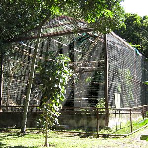 macaw aviary