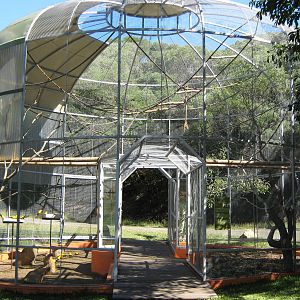 aviary for sun conures