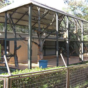 cage for Geoffroys spider monkeys