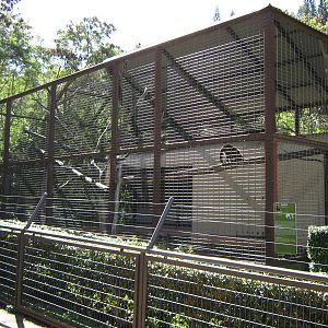 cage for black-capped capuchins