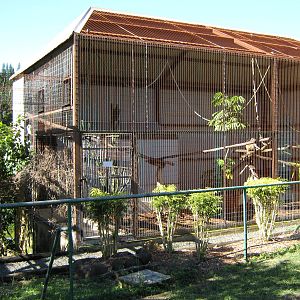 cage for patas monkeys