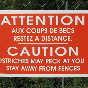 ostrich warning sign