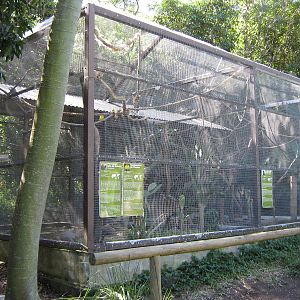 African parrot aviaries
