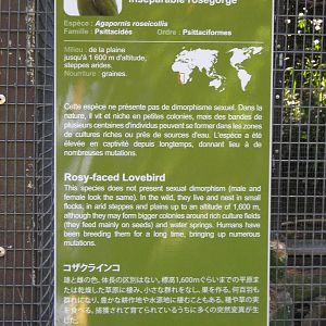 signage for the inseparables!