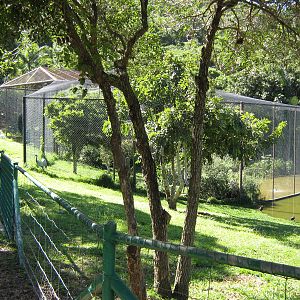 waterbird aviaries