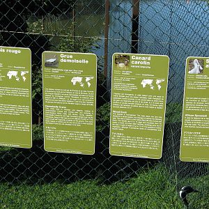 signage for the waterbird aviary