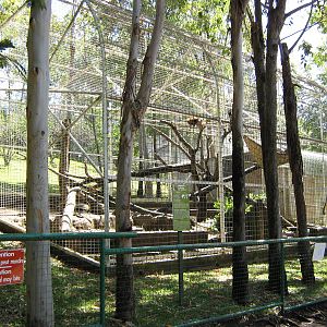 cage for pig-tailed macaques