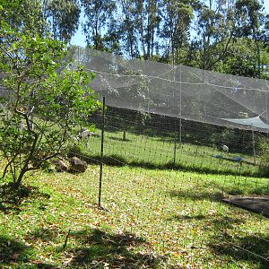 enclosure for Japanese red-crowned cranes