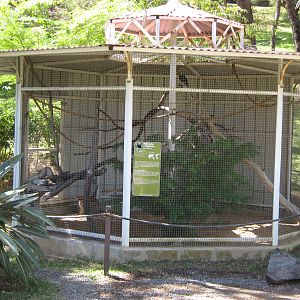aviary for hill mynah (Gracula religiosa)