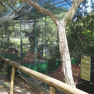 aviaries for pheasants
