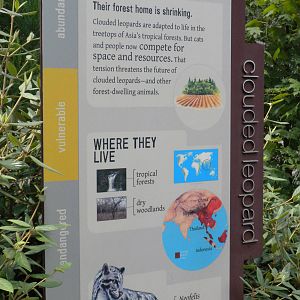 Clouded Leopard Exhibit  [Asia Trail]