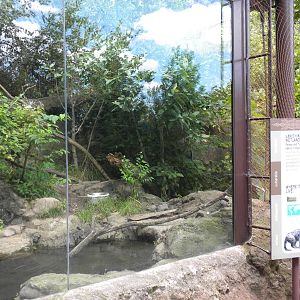 Fishing Cat Exhibit  [Asia Trail]