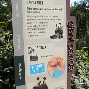 Giant Panda Exhibit  [Asia Trail]