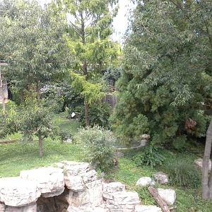 Giant Panda Exhibit  [Asia Trail]