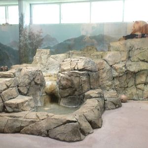 Giant Panda Exhibit with Mei Xiang [Asia Trail]