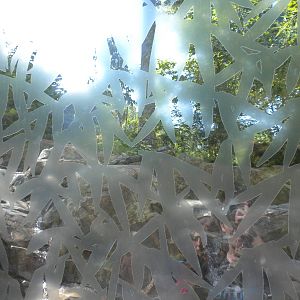 Sloth Bear Exhibit  [Asia Trail]