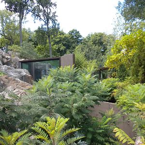 Sloth Bear Exhibit  [Asia Trail]
