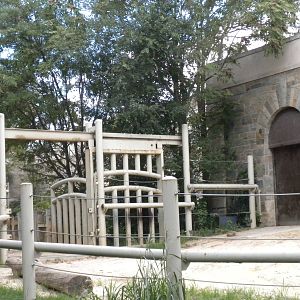 Elephant Trails - Old Elephant Yard