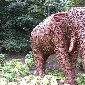 Elephant Trails Outpost Entrance