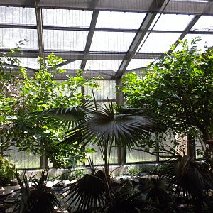 Bird House - Rosette Spoonbill and Scarlet Ibis Exhibit