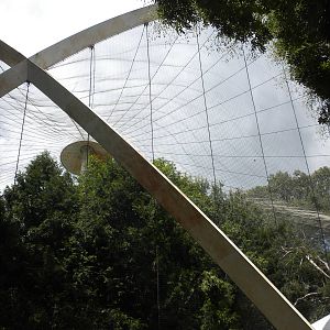Bird House - Great Flight Exhibit