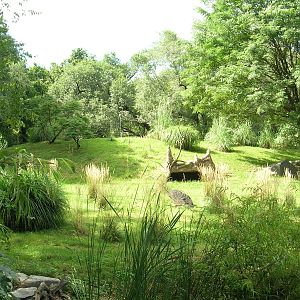 Cheetah Conservation Station