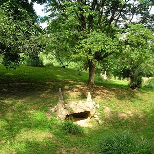Cheetah Conservation Station