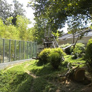 Great Ape House - Gorilla Exhibit