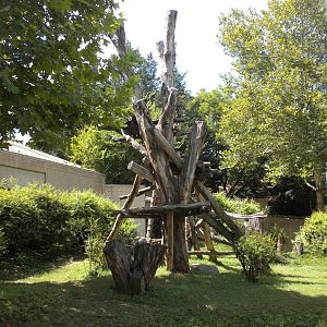 Great Ape House - Gorilla Exhibit