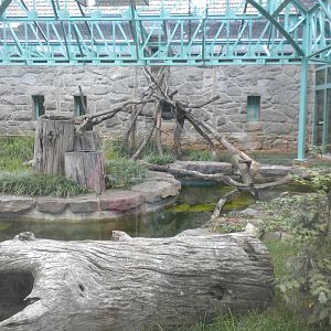 Think Tank - Sulawesi Macaque Exhibit