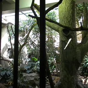 Small Mammal House - Lemur Exhibit