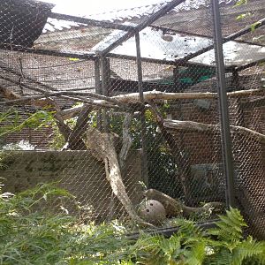 Small Mammal House - River Otter Exhibit