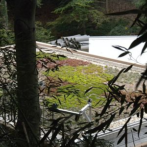 Elephant Outpost Green Roof