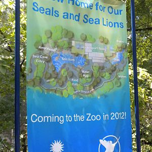 New Seal and Sea Lion Exhibit