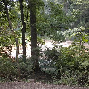 Construction of Sea Lions