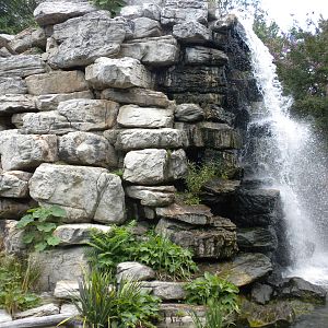 Lemur Island with no Lemurs