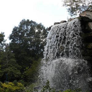 Lemur Island with no Lemurs