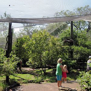 Africa-Woodland Aviary