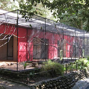 aviaries for native parakeets