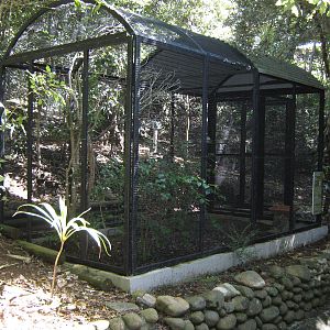 aviary for green-backed white-eyes (Zosterops xanthochroa)