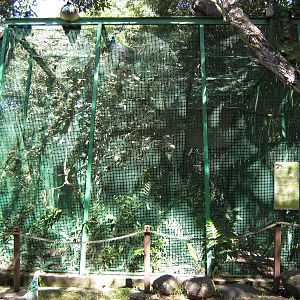 aviary for peregrine falcon (Falco peregrinus)