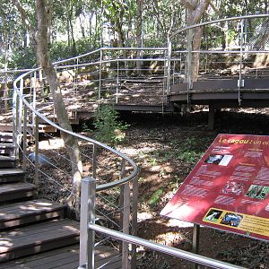 walk-through kagu enclosure