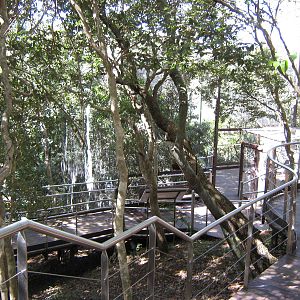 walk-through kagu enclosure