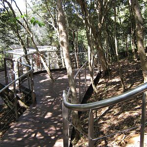 walk-through kagu enclosure