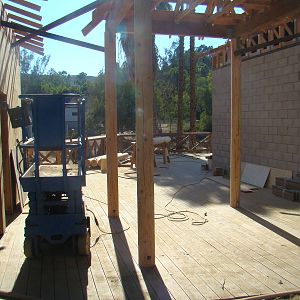 Elephants of Asia construction update