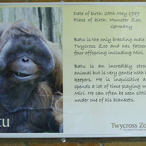 New orang info boards 24 August 2010